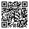 Best Guided Tours